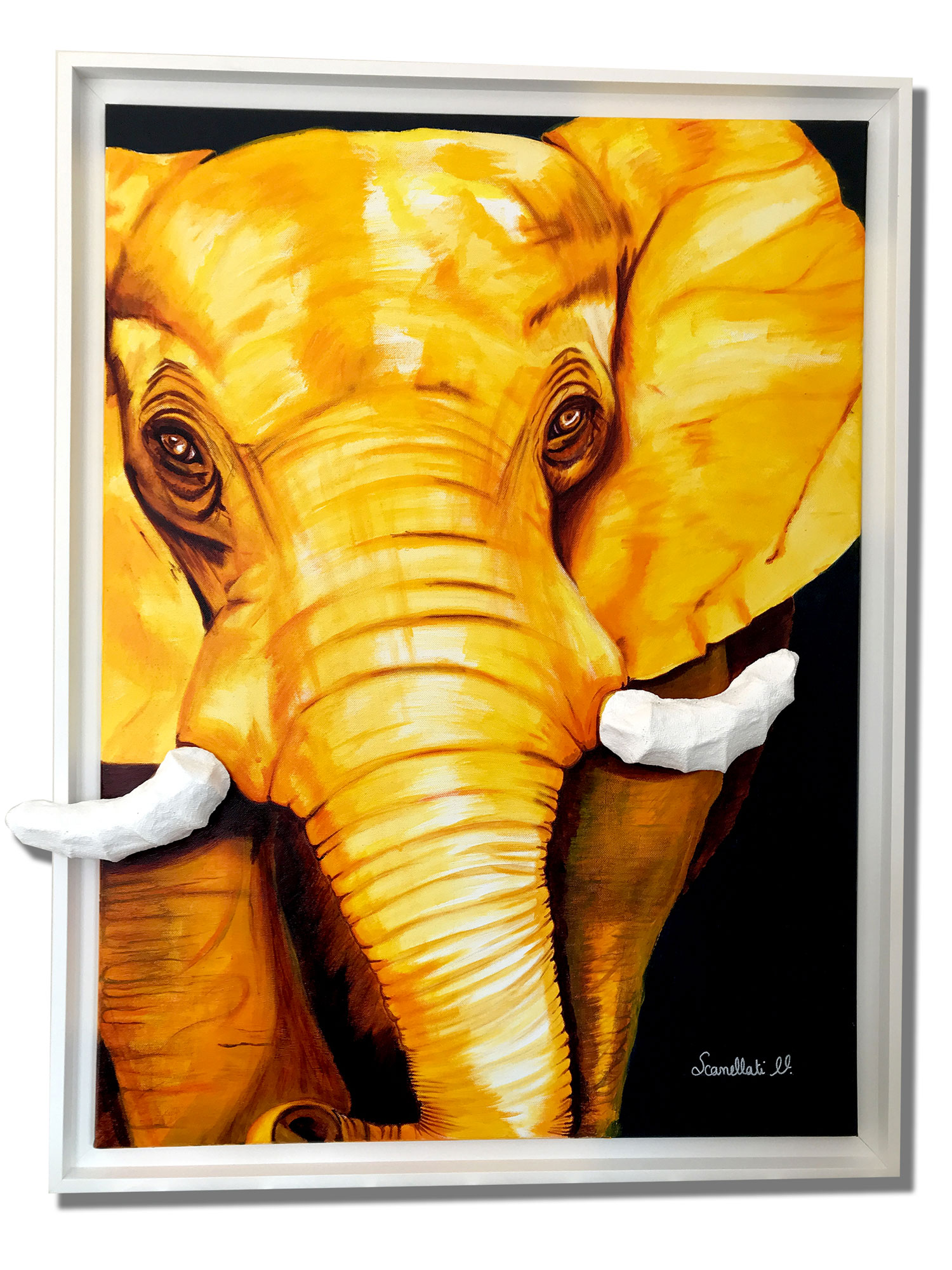 VSCANELLATI_ELEPHANT_1500Pxl