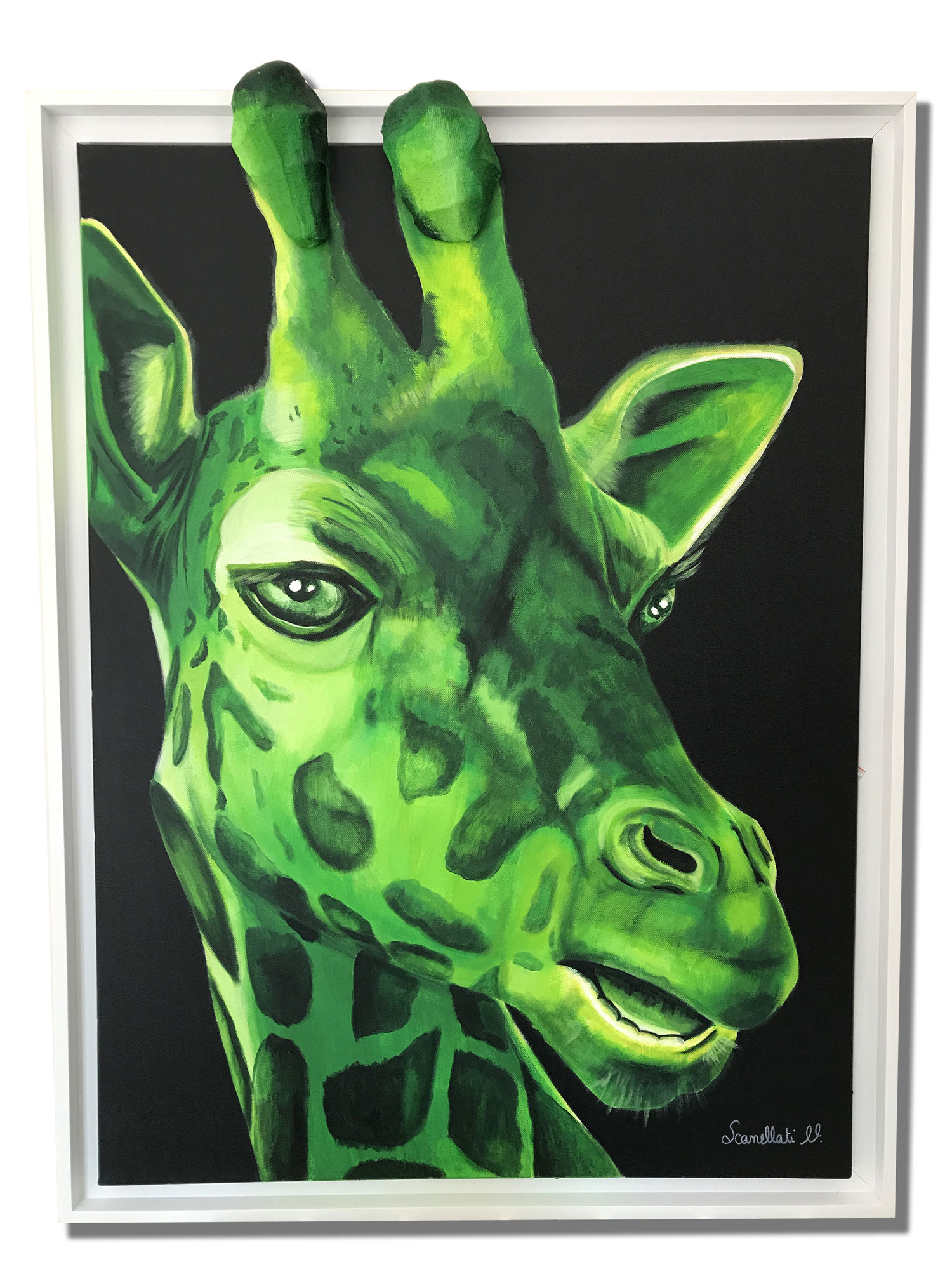 VSCANELLATI_GIRAFE_1500Pxl