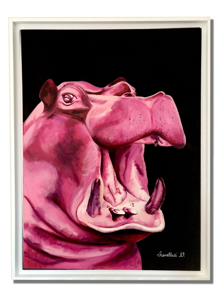 VSCANELLATI_HIPPO_1500Pxl