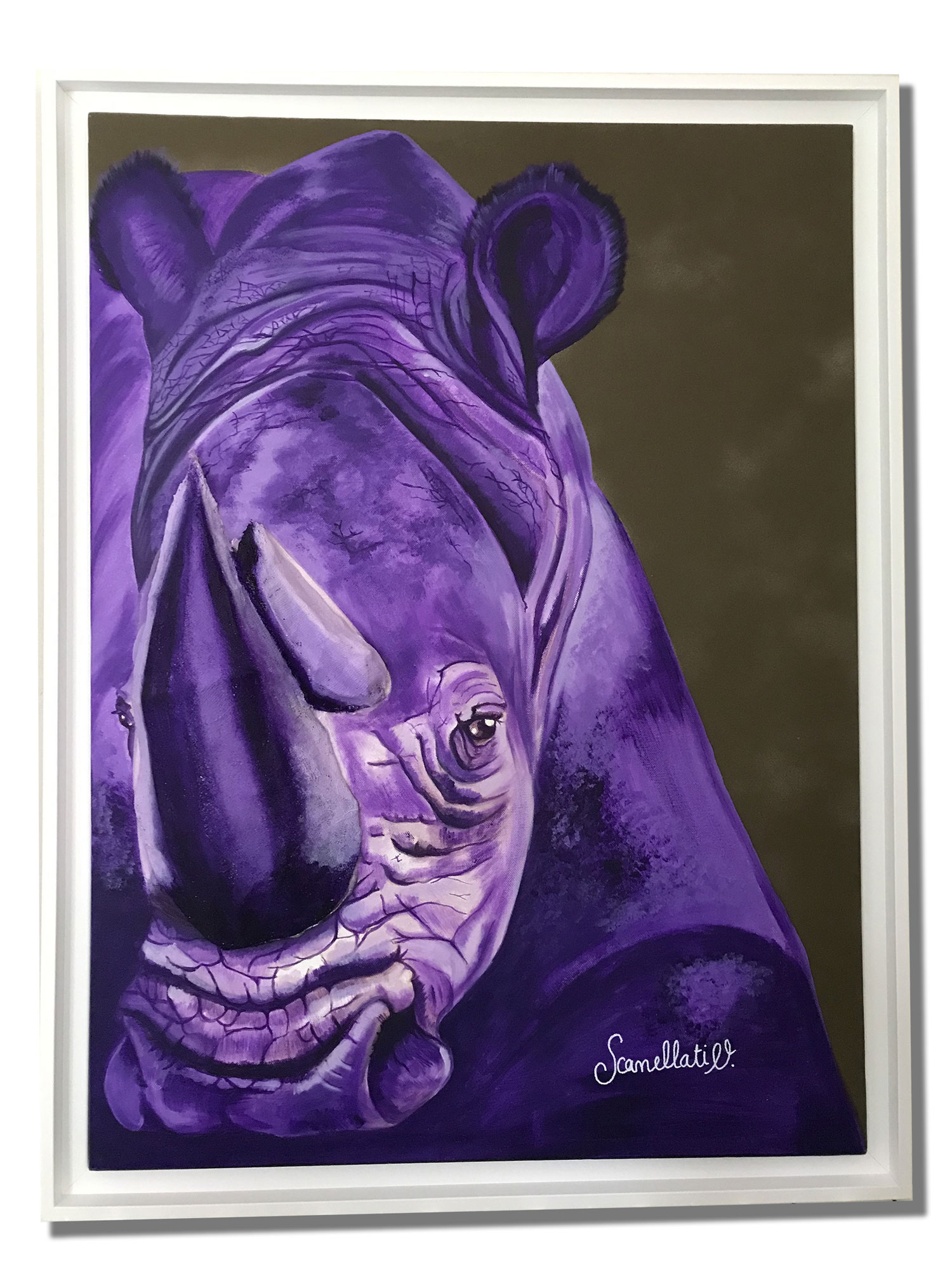 VSCANELLATI_PurpleRhino_1500Pxl