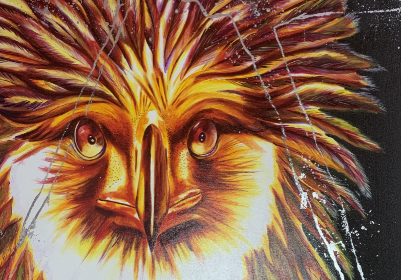 Aigle des singes