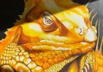 Iguane des Antilles