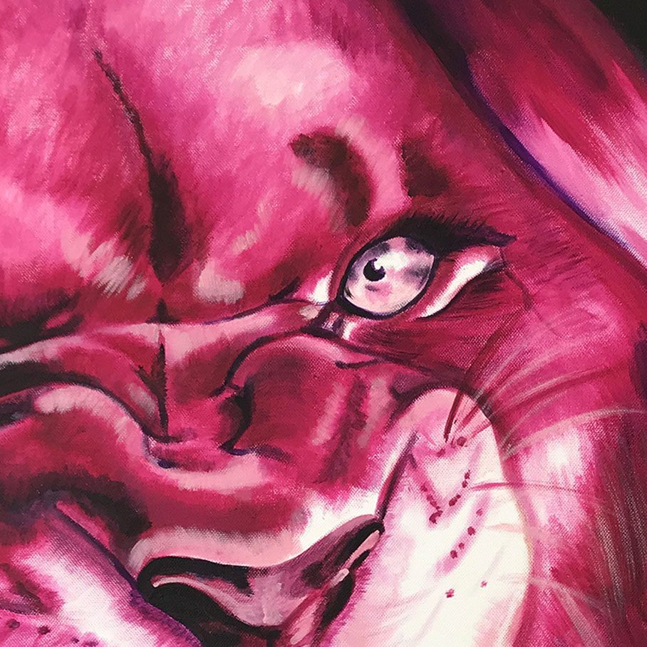 VSCANELLATI_LION_regard