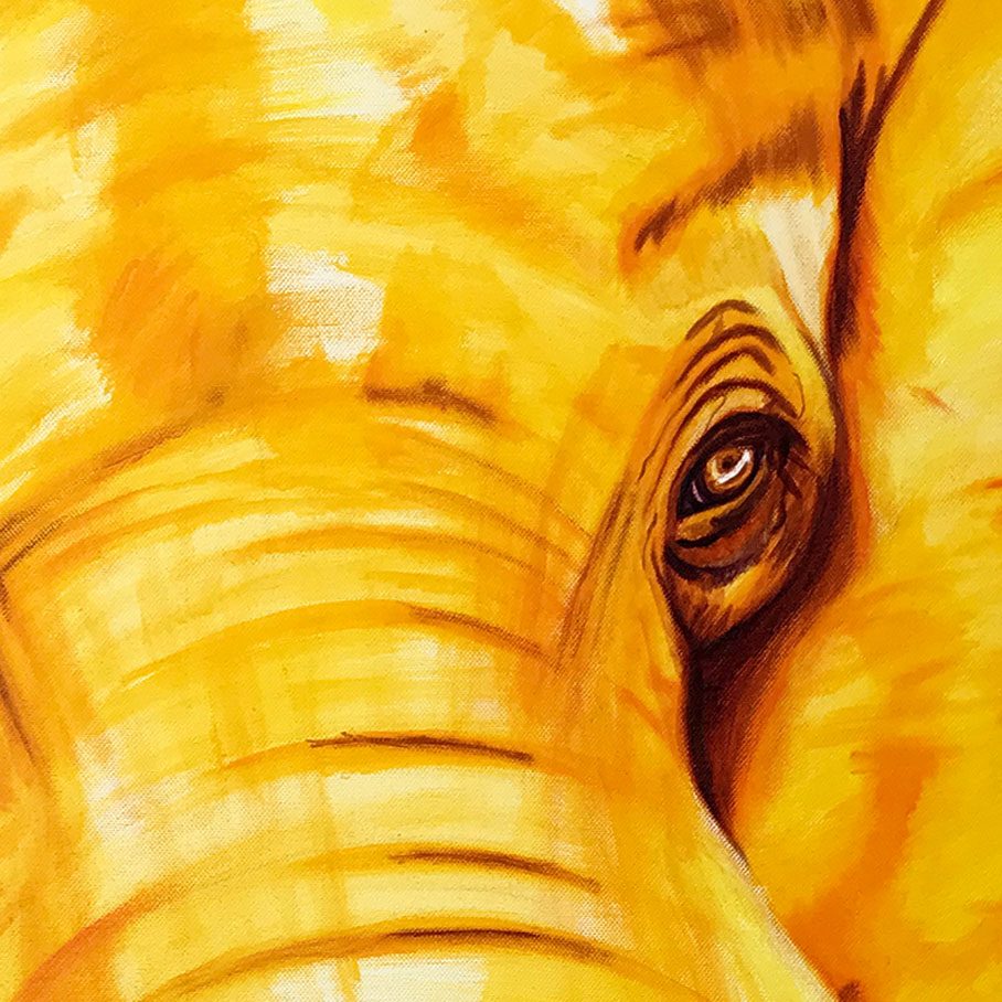 VSCANELLATI_elephant_regard